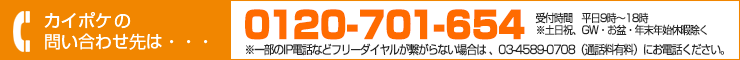 カイポケビズの問い合わせ先は 03-6721-2430