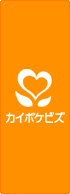 カイポケビズ