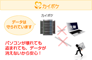 カイポケビズ