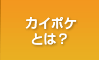 介護保険ソフトのカイポケビズとは？
