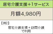 居宅介護支援+1サービス 月額4,980円 例2)居宅介護支援+訪問介護で利用