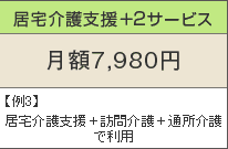 居宅介護支援+2サービス 月額7,980円 例3)居宅介護支援+訪問介護+通所介護で利用