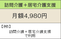 訪問介護+居宅介護支援 月額4,980円 例5)訪問介護+居宅介護支援で利用