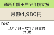 通所介護+居宅介護支援 月額4,980円 例5)通所介護+居宅介護支援で利用