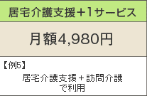 居宅介護支援+1サービス 月額4,980円 例5)居宅介護支援+訪問介護で利用