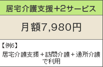居宅介護支援+2サービス 月額7,980円 例6)居宅介護支援+訪問介護+通所介護で利用