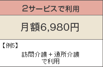 2サービスで利用 月額6,980円 例5)訪問介護+通所介護で利用