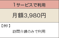 1サービスで利用 月額3,980円 例1)訪問介護のみで利用