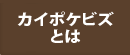 介護保険請求ソフト カイポケビズとは