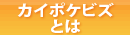 介護保険請求ソフト カイポケビズとは