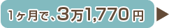 1ヶ月で、3万1,770円