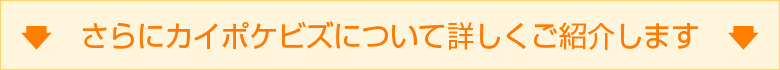 さらにカイポケビズについて詳しくご紹介します