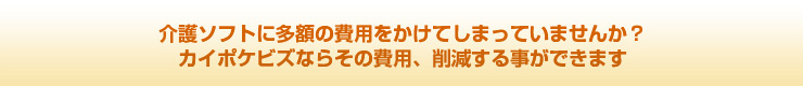 介護ソフトに多額の費用をかけてしまっていませんか？カイポケビズならその費用、削減する事ができます