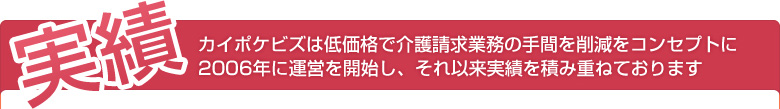 実績