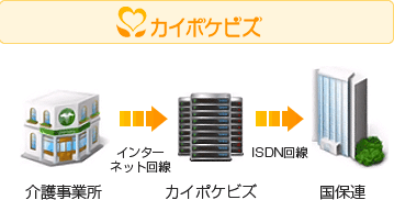 カイポケビズ