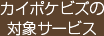 カイポケビズの対象サービス
